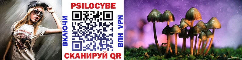 Псилоцибиновые грибы Magic Shrooms  закладки  мориарти наркотические препараты  Майский 