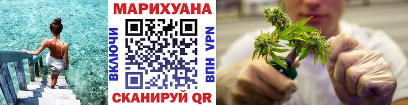 Марихуана сатива Майский