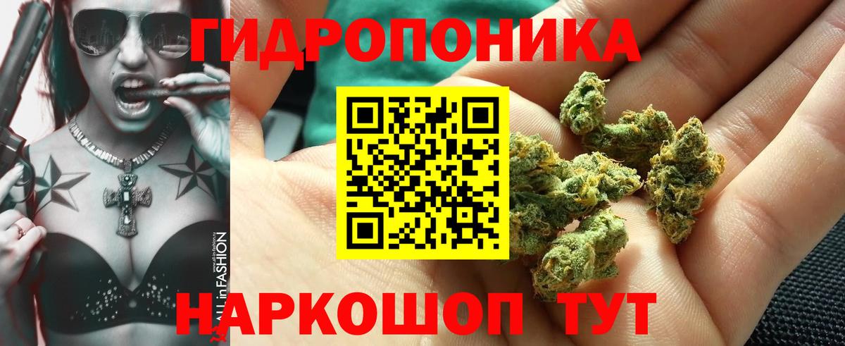 Конопля ГИДРОПОН  МАРИХУАНА OG Kush  Майский  Канабис VHQ  Вход с VPN 